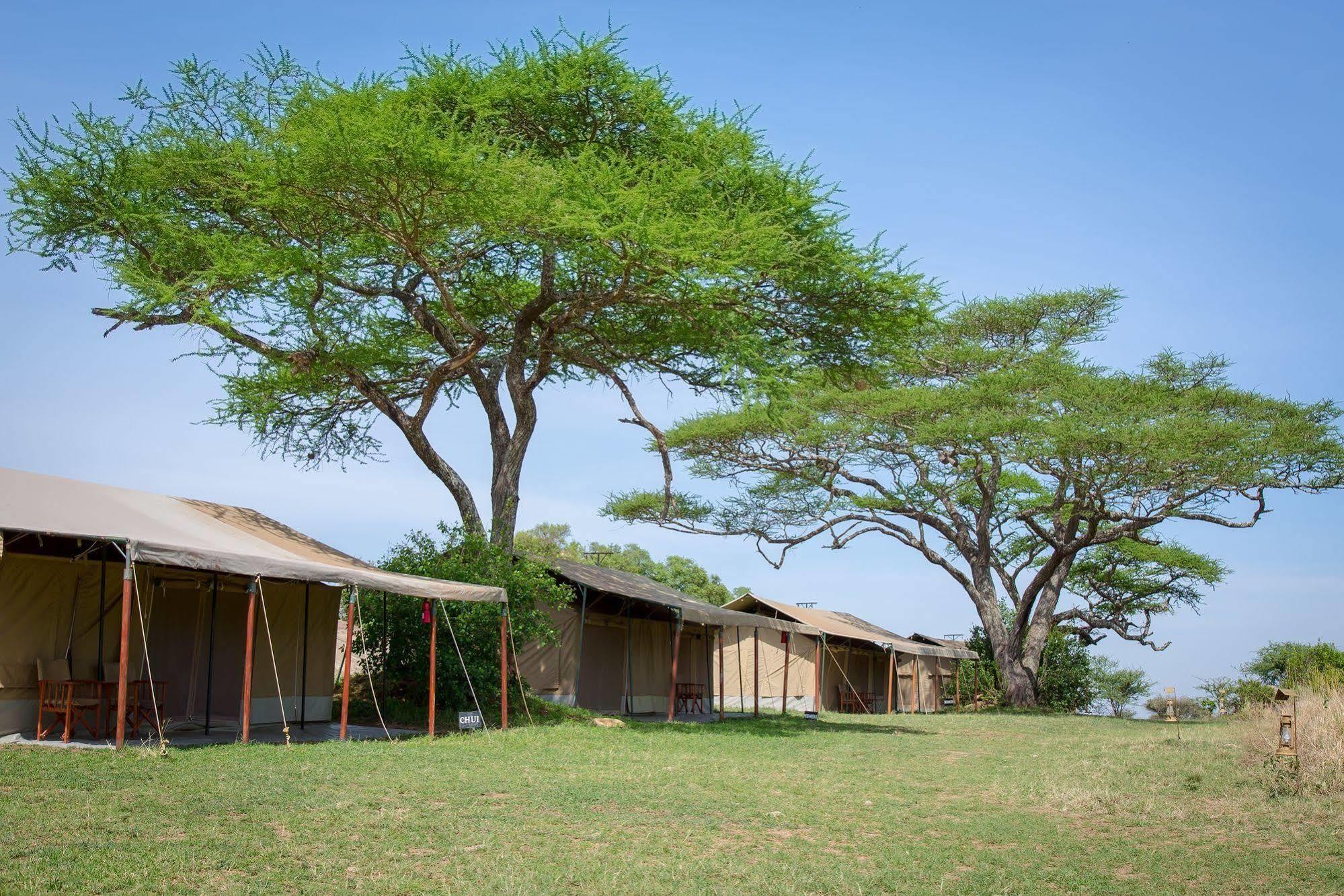 Kisura Serengeti Camp Soronera Zewnętrze zdjęcie