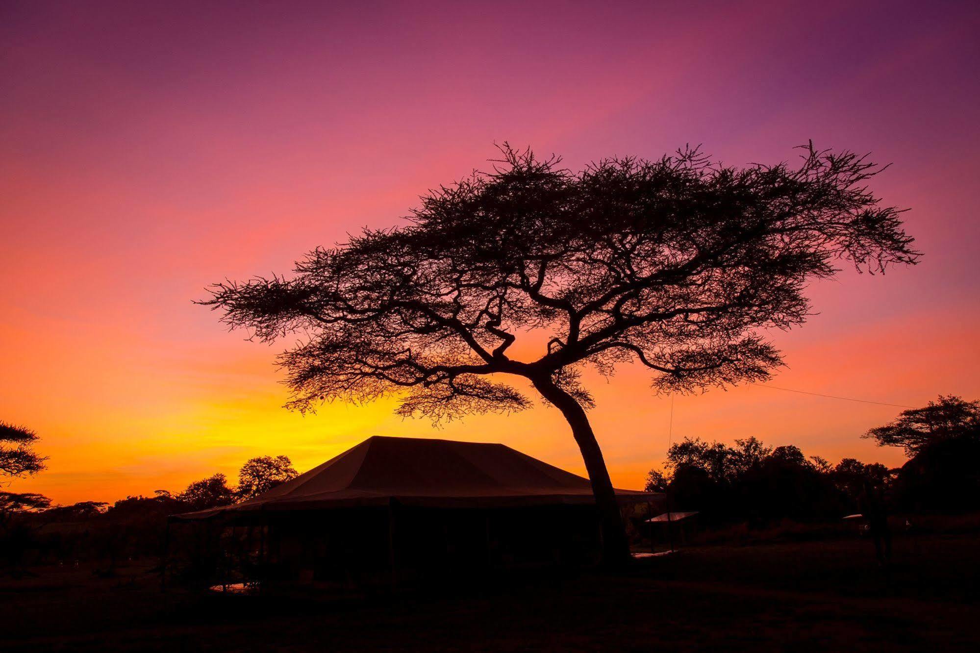 Kisura Serengeti Camp Soronera Zewnętrze zdjęcie